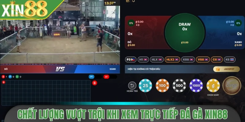 Chất lượng vượt trội khi xem trực tiếp đá gà trên Xin88