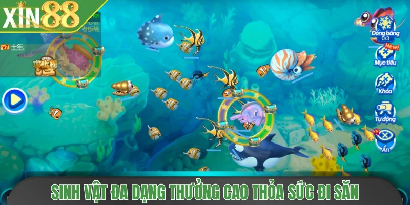 Sinh vật đa dạng thưởng cao thỏa sức đi săn